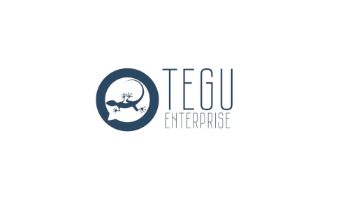 Почтовый сервер Tegu Enterprise